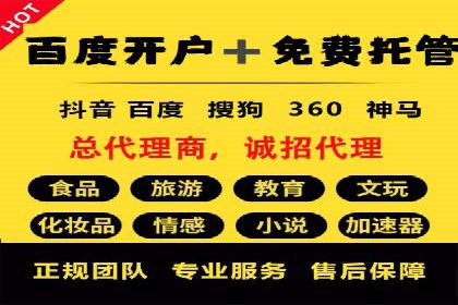 旅游行业SEM推广的实战案例分析